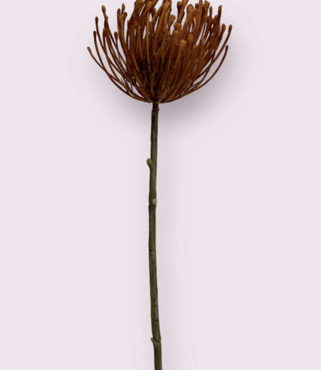 Oranje Protea | Zijden kunstbloem | Lengte 58 centimeter