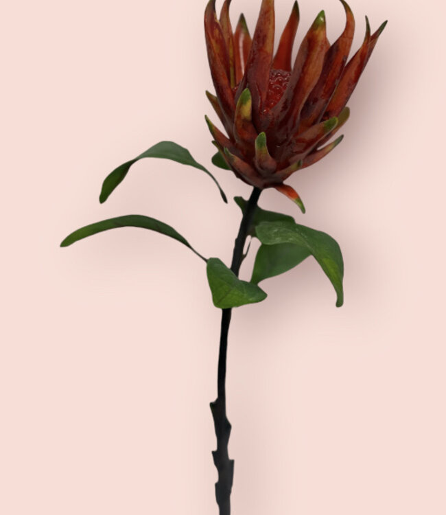 Rode Protea | Zijden kunstbloem | Lengte 67 centimeter