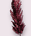 Burgundy Wig Tree | Silk artificial flower | Length 90 centimeters