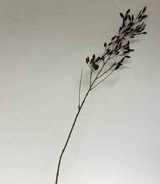 Silk Flowers by JJ Braunes Weidelgras | Kunstblume aus Seide | 100 Zentimeter