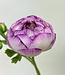 Purple Ranunculus | Silk artificial flower | Length 55 centimeters