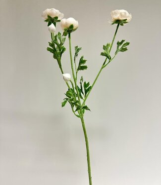 Witte Ranonkel | zijden kunstbloem | 65 centimeter