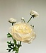 White Ranunculus | Silk artificial flower | Length 65 centimeters