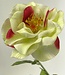 Cream-colored red Rose | Silk artificial flower | Length 67 centimeters