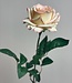 Cream Rose | Silk artificial flower | Length 75 centimeters
