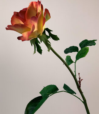 Yellow-red Rose | silk artificial flower | 75 centimeters