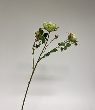 Green Rose | silk artificial flower | 70 centimeters