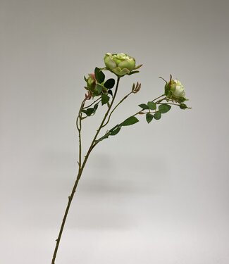 Silk Flowers by JJ Groene Roos | zijden kunstbloem | 70 centimeter