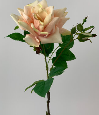MyFlowers Roze Roos | zijden kunstbloem | 52 centimeter