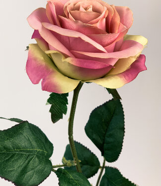 MyFlowers Roze Roos | zijden kunstbloem | 66 centimeter