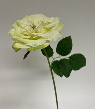 MyFlowers Green White Rose | silk artificial flower | 57 centimeters