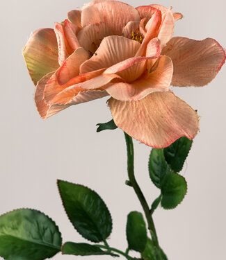 MyFlowers Zalmkleurige Roos | zijden kunstbloem | 67 centimeter