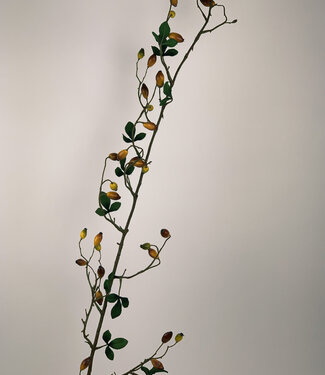 MyFlowers Yellow Rosehip | silk artificial flower | 160 centimeters