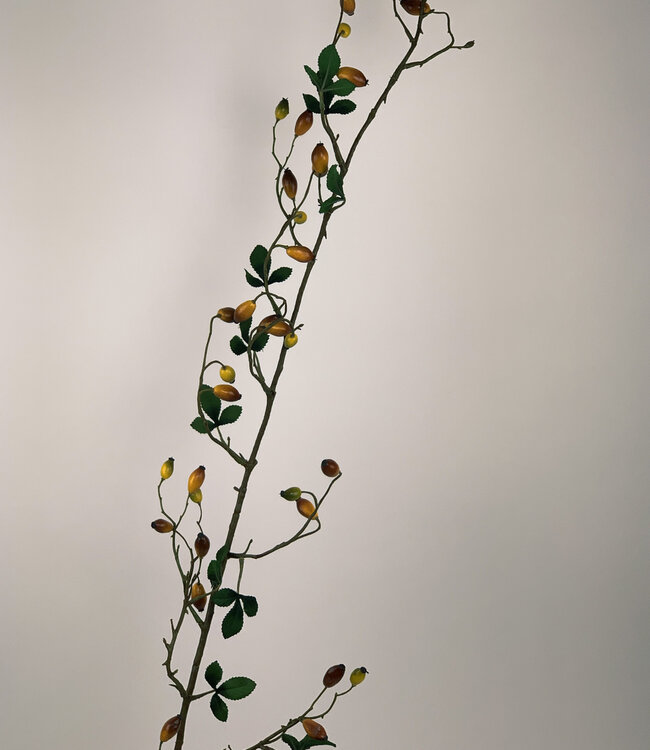 Yellow Rosehip | Silk artificial flower | Length 160 centimeters