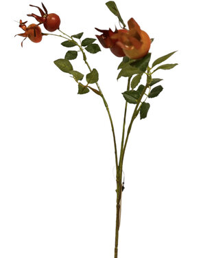 MyFlowers Oranje Rozenbottel | zijden kunstbloem | 60 centimeter