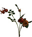 Orange Rosehip | Silk artificial flower | Length 60 centimeters