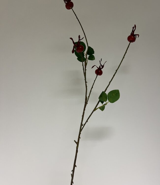 Red Rosehip | Silk artificial flower | Length 85 centimeters