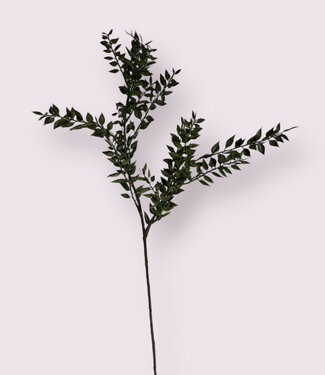 MyFlowers Green Ruscus | silk artificial flower | 50 centimeters