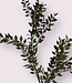 Green Ruscus | Silk artificial flower | Length 50 centimeters