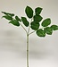 Groen Salal | Zijden kunstbloem | Lengte 80 centimeter
