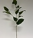 Green Salal Leaf | Silk artificial flower | Length 68 centimeters