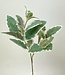 Groene Salie | Zijden kunstbloem | Lengte 55 centimeter