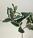 Green Sage | Silk artificial flower | Length 55 centimeters
