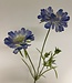 Blauwe Scabiosa | Zijden kunstbloem | Lengte 80 centimeter