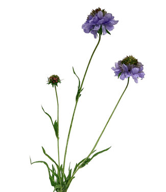 MyFlowers Lilac Scabiosa | silk artificial flower | 65 centimeters