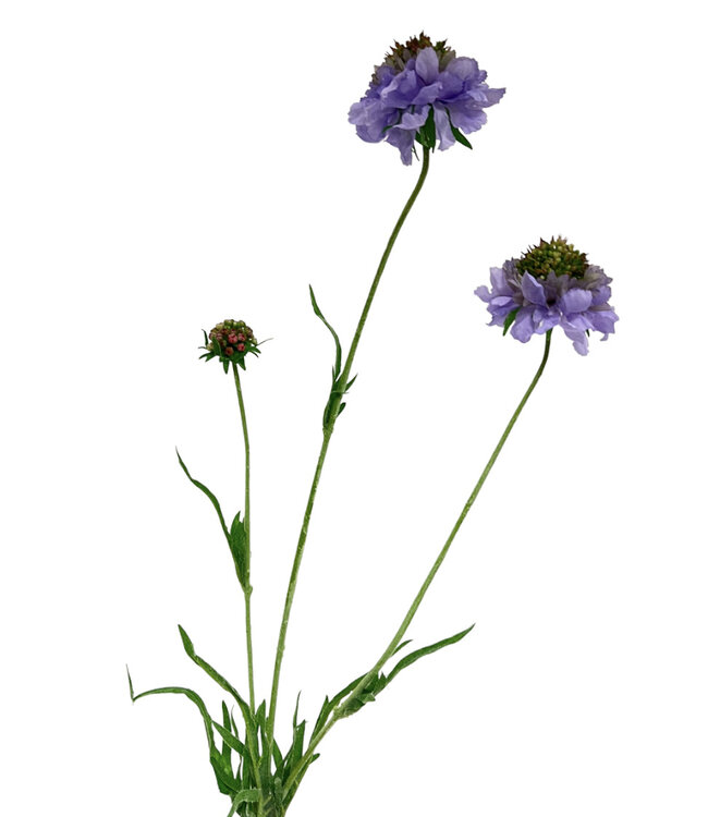 Lila Scabiosa | Kunstblume aus Seide | Länge 65 Zentimeter