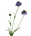 Lila Scabiosa | Zijden kunstbloem | Lengte 65 centimeter