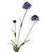 Lilac Scabiosa | Silk artificial flower | Length 65 centimeters