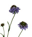 Lila Scabiosa | Kunstblume aus Seide | Länge 65 Zentimeter