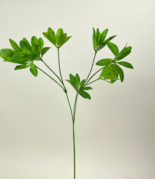 Green Schefflera | Silk artificial flower | Length 63 centimeters