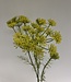 Fleur d’écran jaune | Fleur artificielle en soie | Longueur 78 centimètres