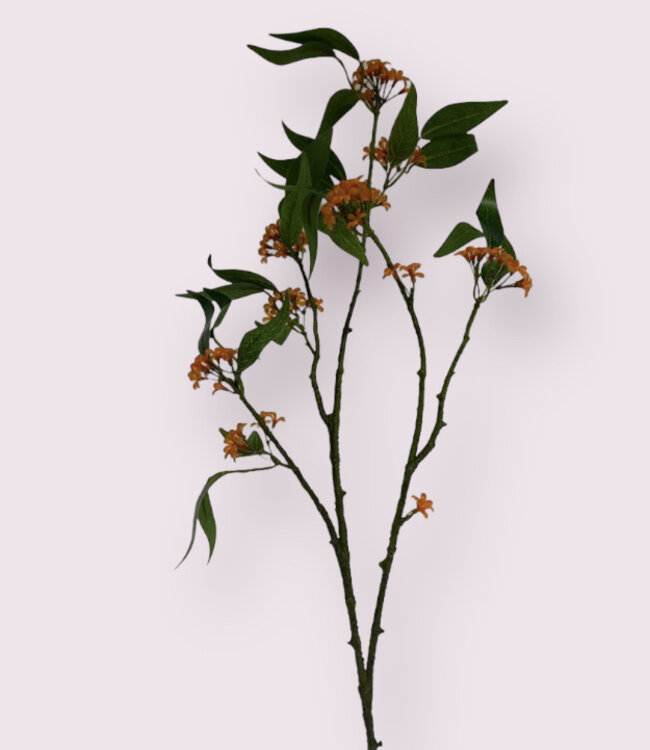 Orange Schijnhulst | Silk artificial flower | Length 70 centimeters