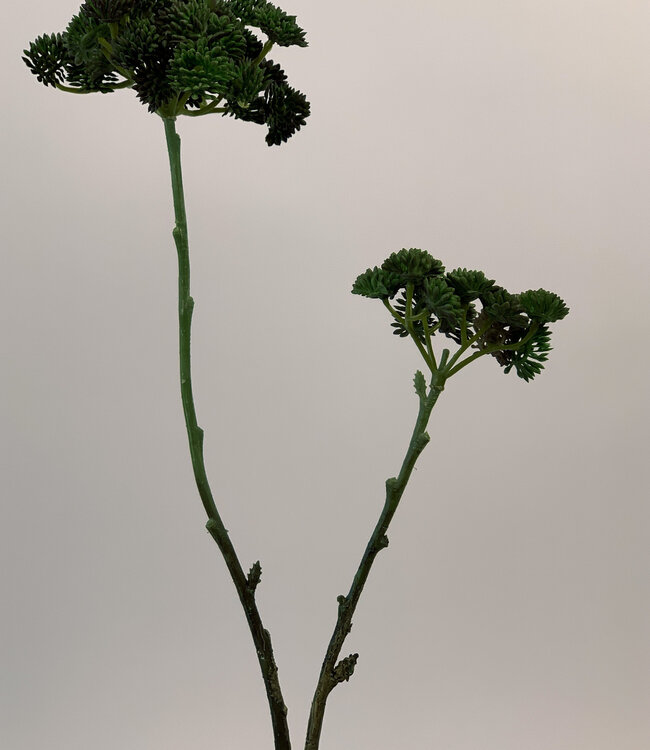 Green Sedum Branch | Silk artificial flower | Length 49 centimeters