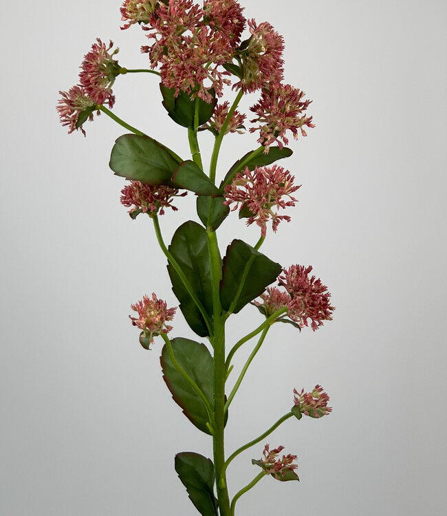 Pink Sedum Branch | Silk artificial flower | Length 88 centimeters