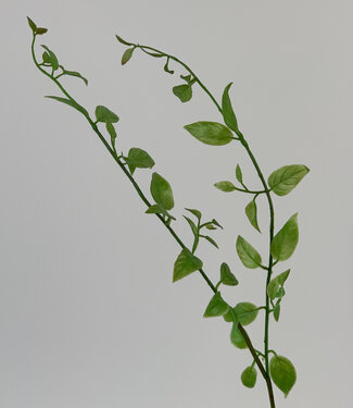 Green Sephora Branch | silk artificial flower | 50 centimeters