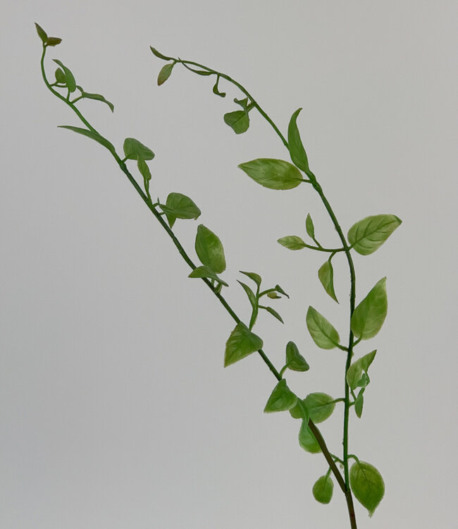 Green Sephora Branch | Silk artificial flower | Length 50 centimeters
