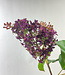 Purple Lilac Branch | Silk artificial flower | Length 81 centimeters