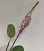 Pink Setaria | Silk artificial flower | Length 62 centimeters