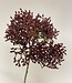 Burgundy Skimmia | Silk artificial flower | Length 54 centimeters