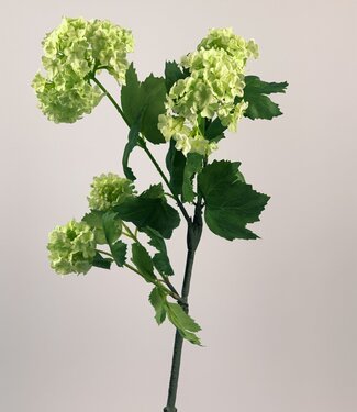 MyFlowers Groene Sneeuwbal | zijden kunstbloem | 53 centimeter