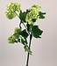 Green Snowball | Silk artificial flower | Length 53 centimeters
