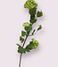 Green Snowball | Silk artificial flower | Length 77 centimeters