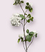 White Snowball XL | Silk artificial flower | Length 115 centimeters