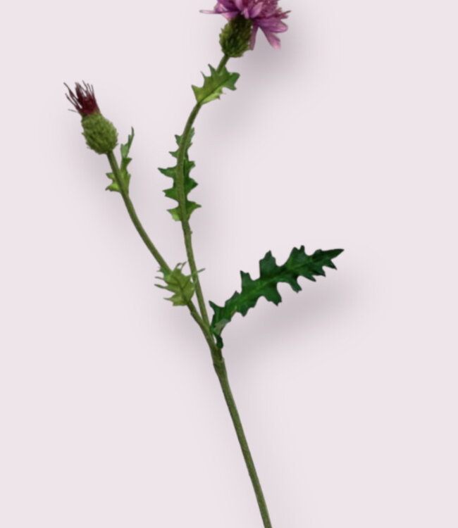 Roze Speer Distel | Zijden kunstbloem | Lengte 60 centimeter