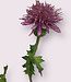 Pink Spear Thistle | Silk artificial flower | Length 60 centimeters
