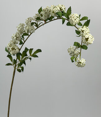 MyFlowers White Spirea | silk artificial flower | 100 centimeters